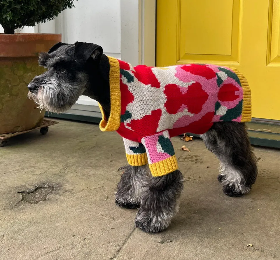 Cashmere Dog Sweater - Blue and Red Lauren Sweater