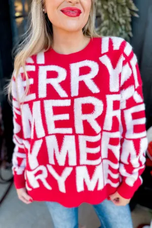 Merry 3D Yarn Detail Long Sleeve Pullover Sweater