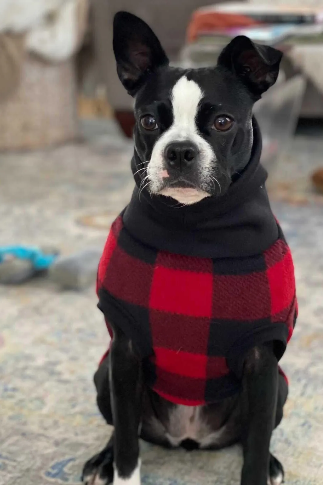 The Classic Red Buffalo Plaid Dog Sweater