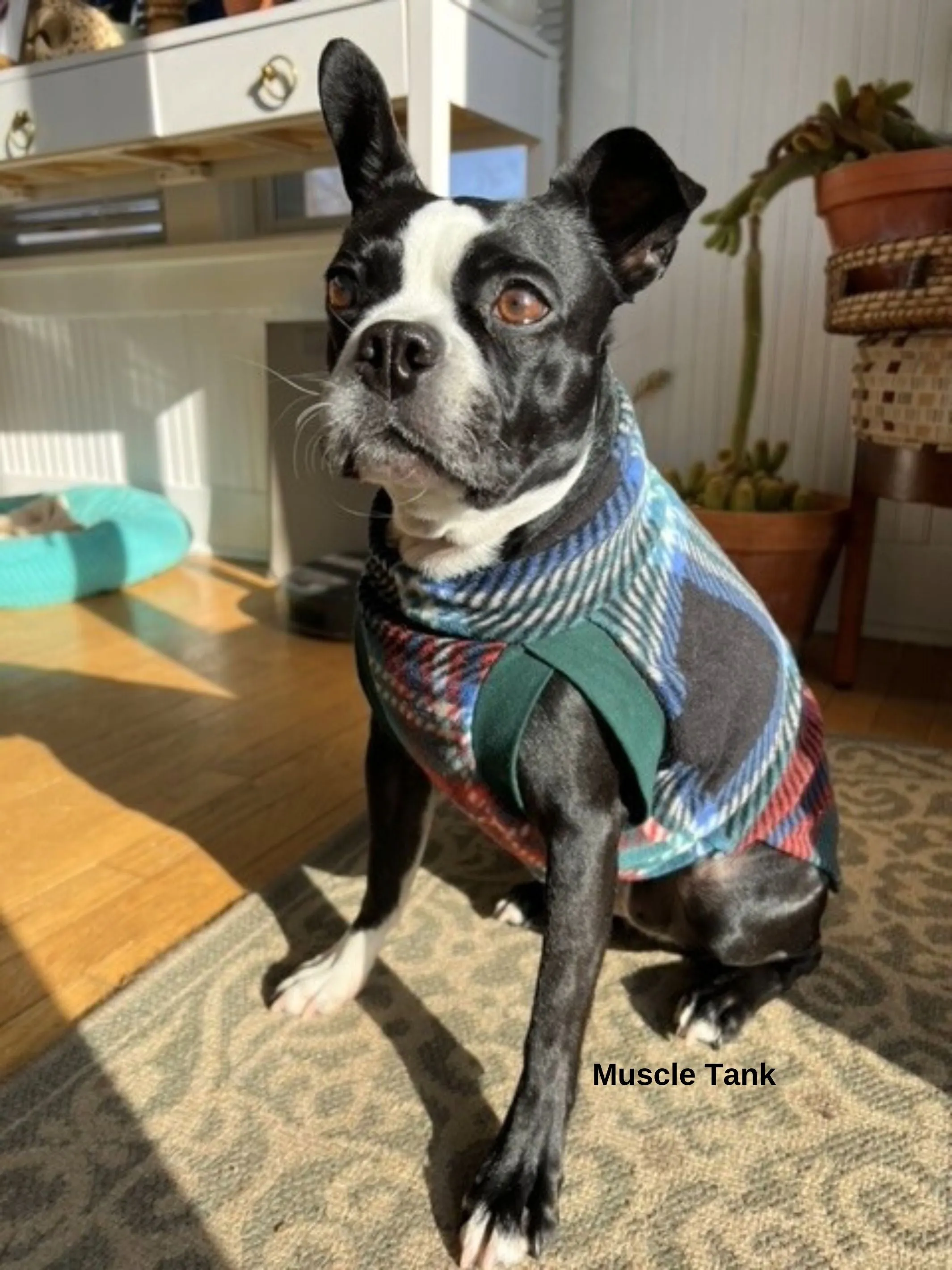 The Midnight Tartan Dog Sweater