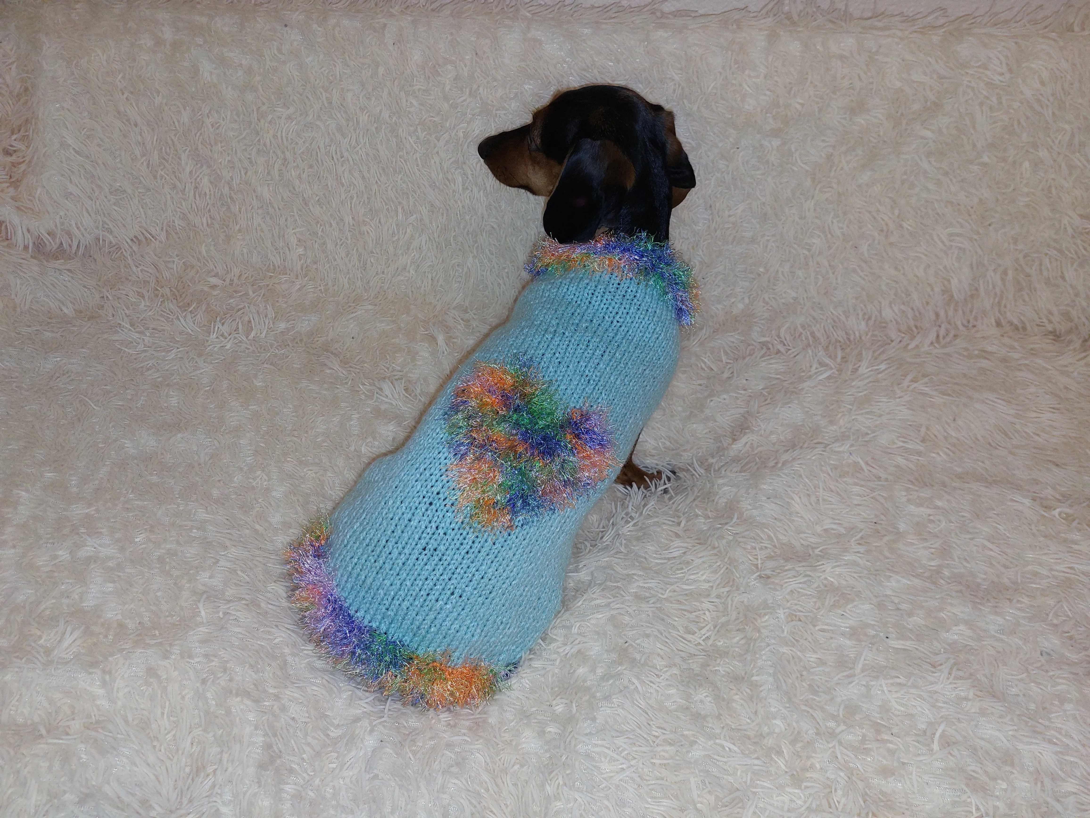 Valentine's day dog clothes with heart, dog jumper with rainbow heart