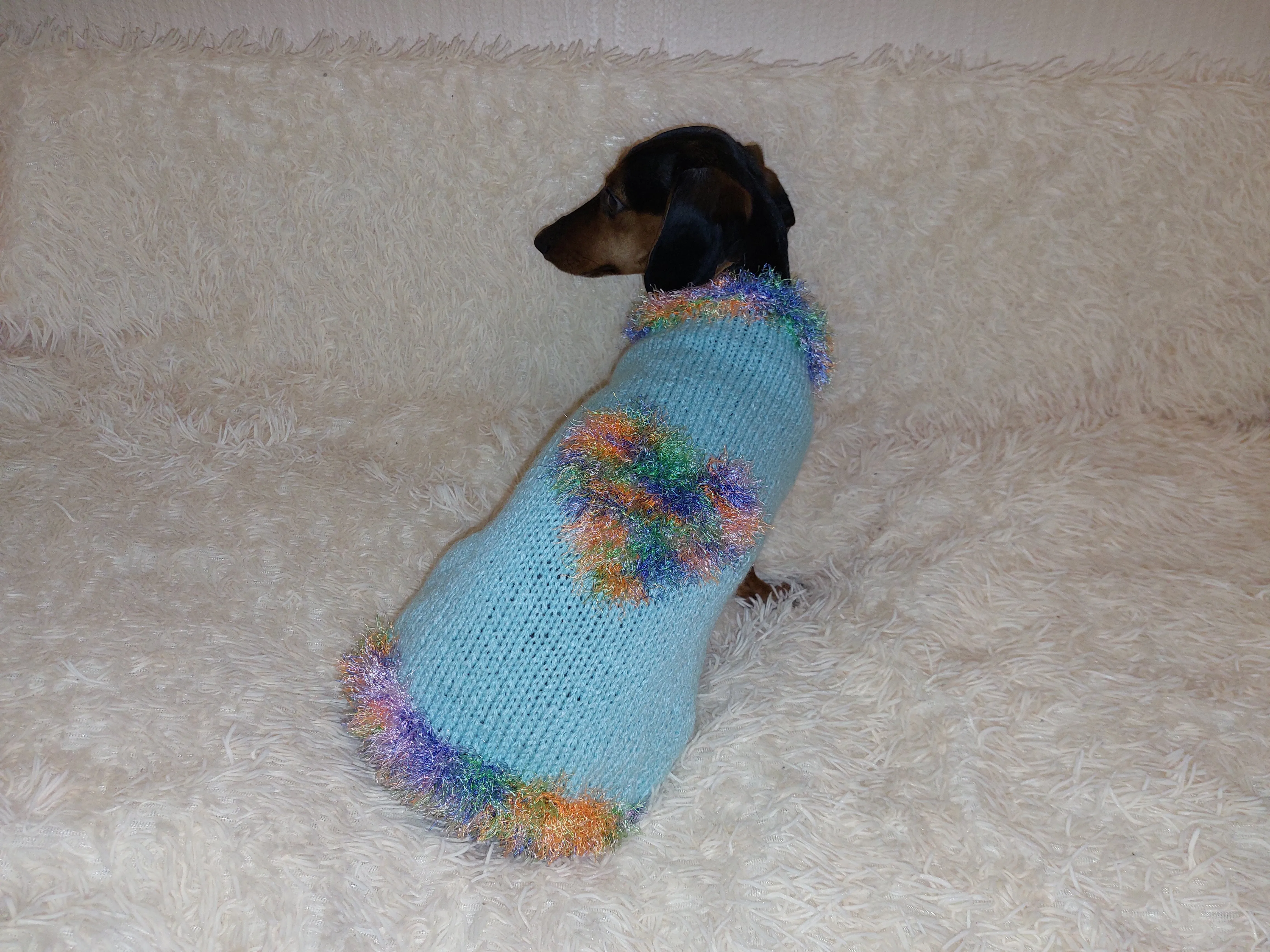 Valentine's day dog clothes with heart, dog jumper with rainbow heart