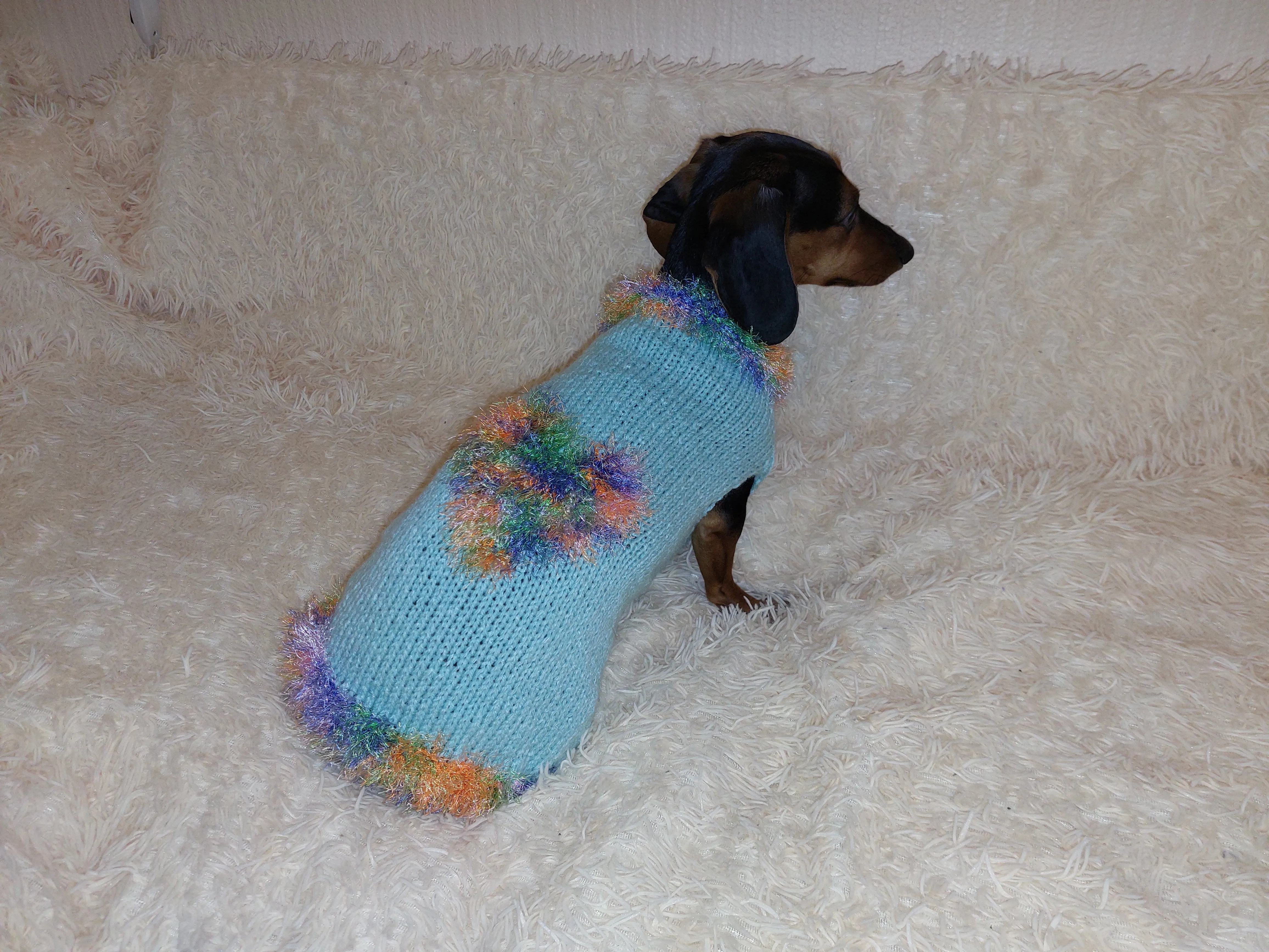 Valentine's day dog clothes with heart, dog jumper with rainbow heart