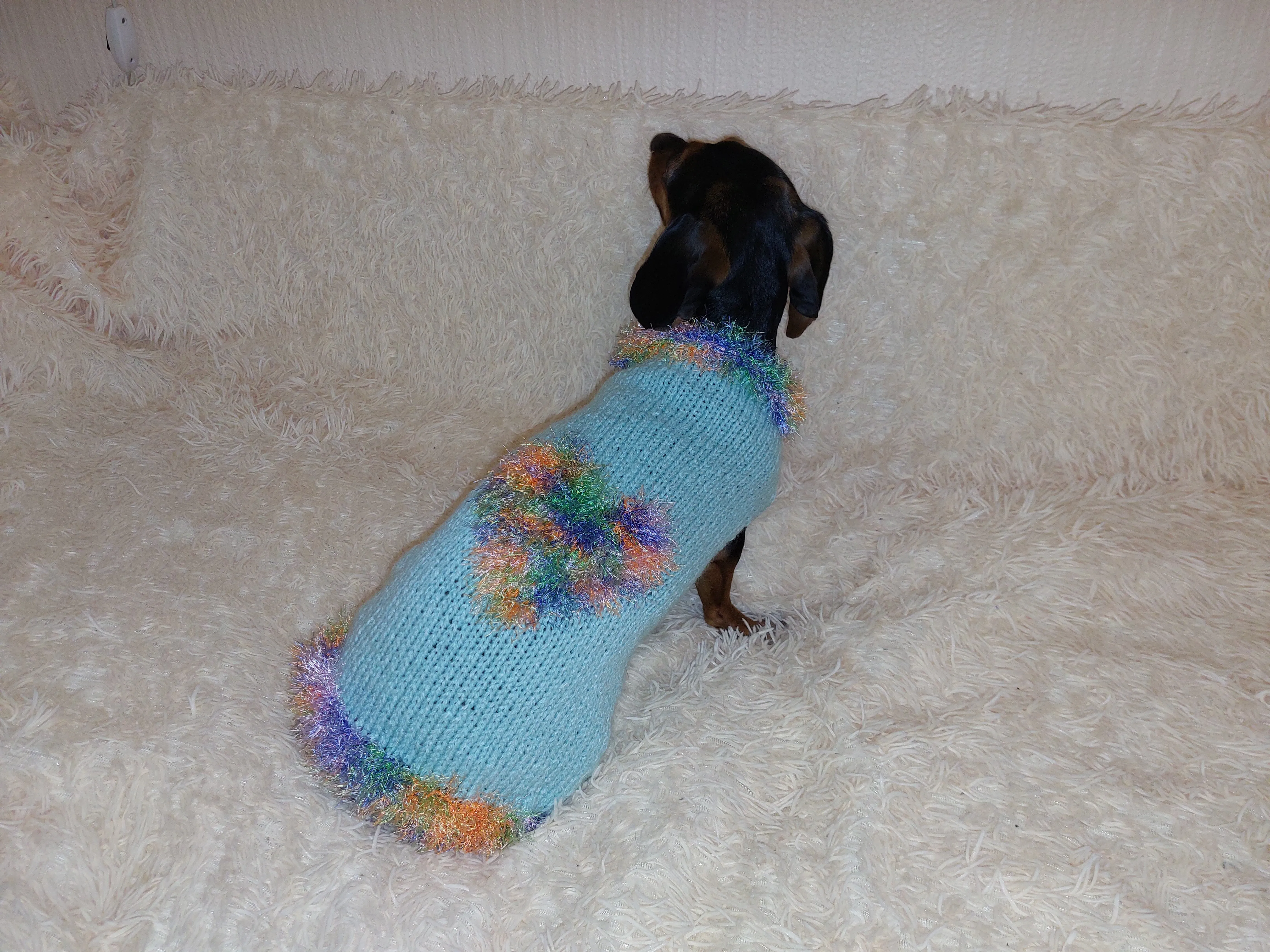 Valentine's day dog clothes with heart, dog jumper with rainbow heart